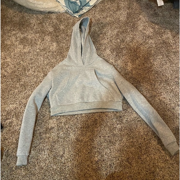 Shein GRAY CROP HOODIE - Picture 1 of 7